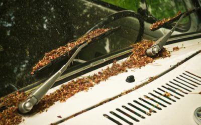 Tipps und Tricks für die Pflege Deiner Scheibenwischer