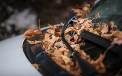 Die besten Tipps, um die Lebensdauer von Deinen Scheibenwischern zu erhöhen