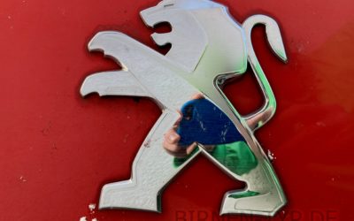 Die passenden Scheibenwischer für den Peugeot 307 Break/SW für vorne & hinten (Typ T6, BJ 2005 bis 2009)